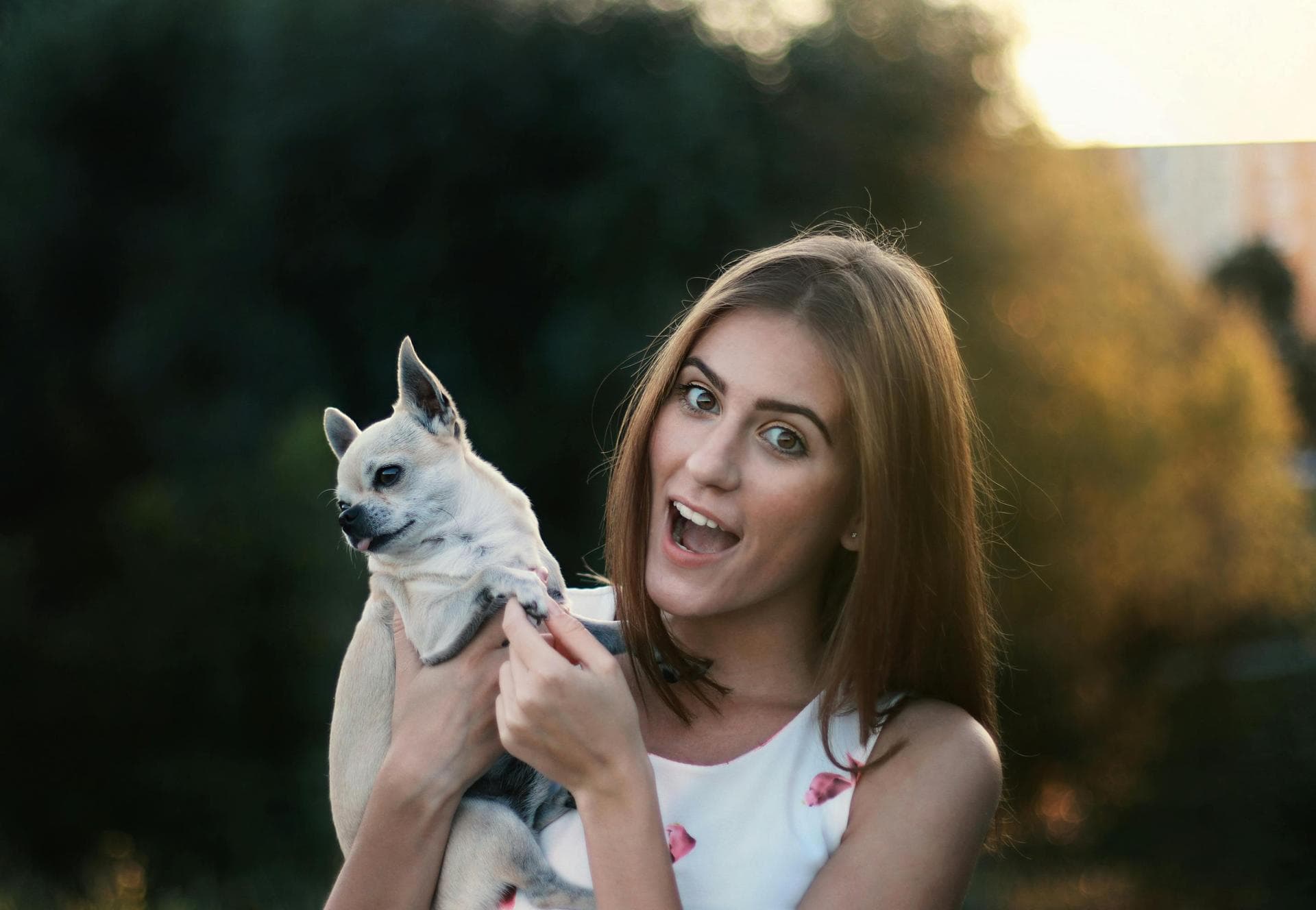 Specialist Vets in Vancouver